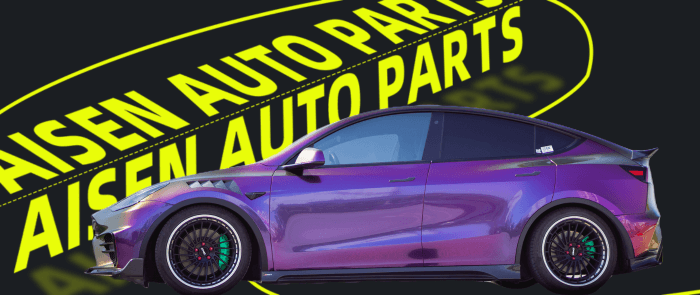 aisenautoparts.com-Teala Model Y-Carbon Fiber Body Kit
